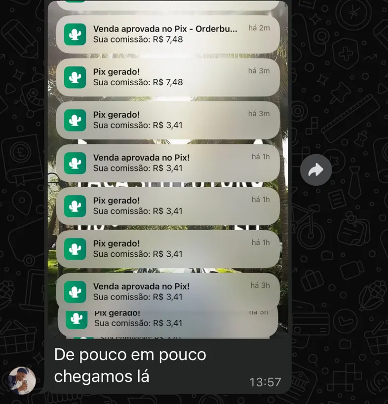 Print de aluno: vendas aprovadas no Pix